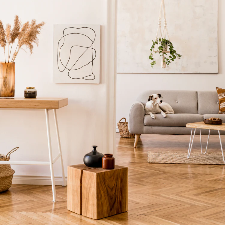 stylish-composition-of-creative-spacious-apartment-2024-10-16-12-37-13-utc